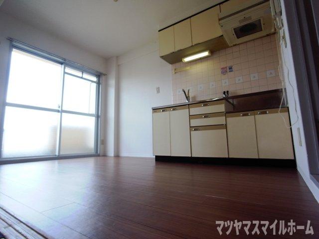 カサグランディ鴻池の居間写真