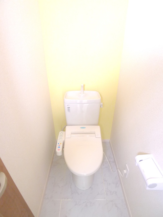 メゾン高栄Aのトイレ写真
