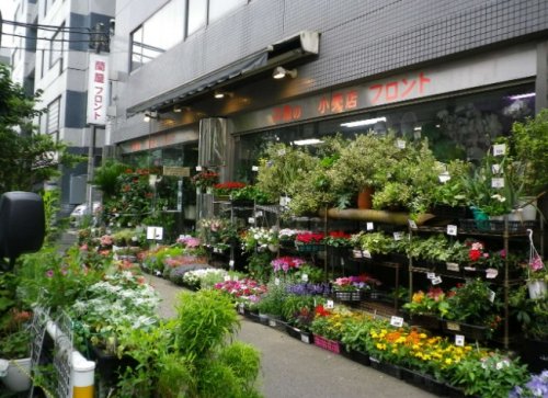 その他　蘭屋フロント（その他）まで155m