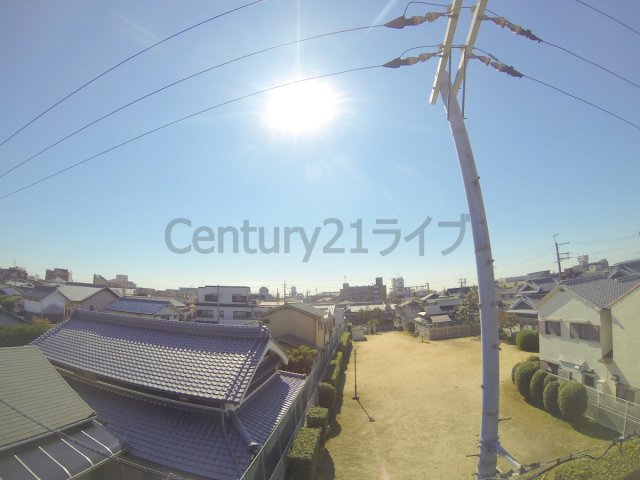 眺望