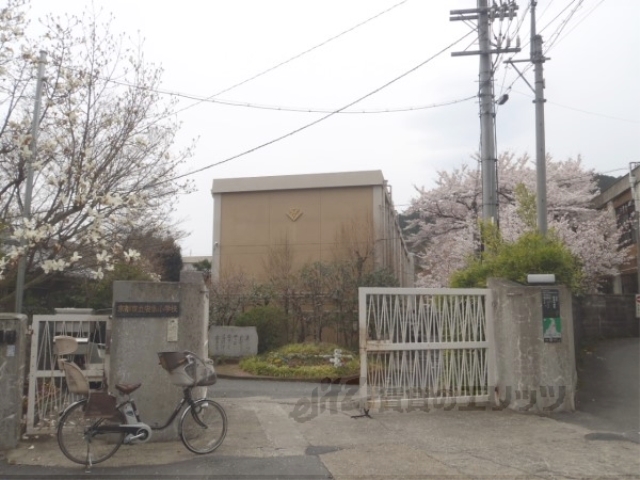 【京都市山科区四ノ宮垣ノ内町のマンションの小学校】