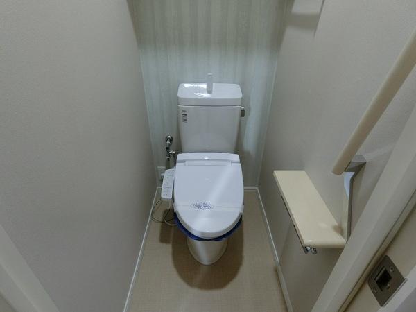ディアス島泉IIのトイレ写真