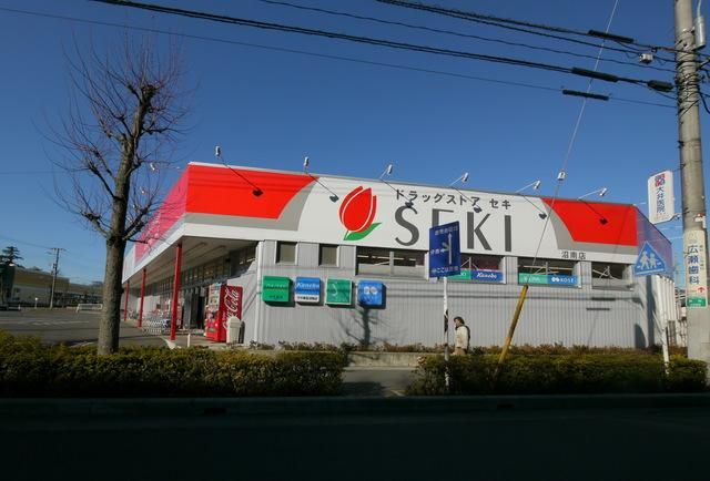 ドラックストア　ドラッグストアセキ沼南店（ドラッグストア）まで1249m