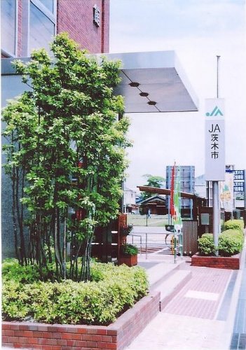 その他　茨木市農協 本所（その他）まで558m