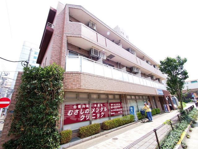 アドニスモリヤ