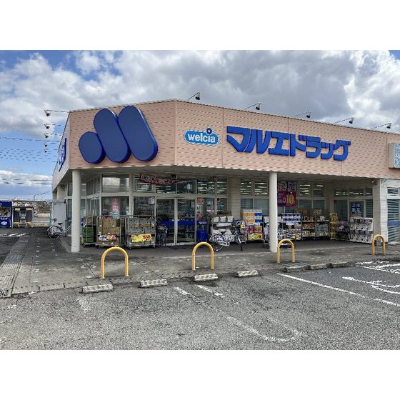 ドラックストア　マルエドラッグ高崎寺尾店（ドラッグストア）まで1247m