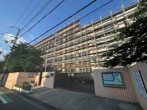 小学校　尼崎市立七松小学校（小学校）まで209m