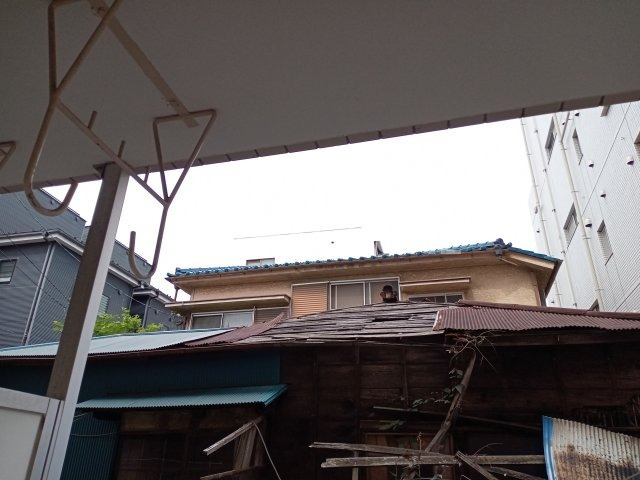 眺望