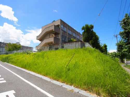 小学校　堺市立原山ひかり小学校（小学校）まで690m