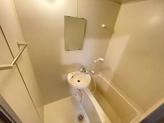 バス・シャワールーム　※別部屋の写真です