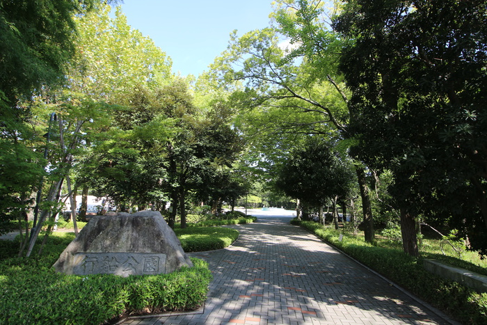 公園　行船公園（公園）まで705m