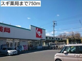 ドラックストア　スギ薬局（ドラッグストア）まで750m