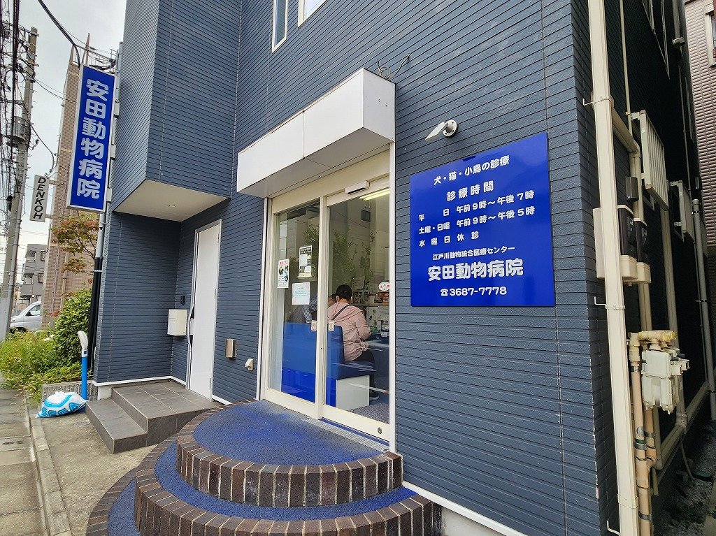 その他　安田動物病院（その他）まで360m