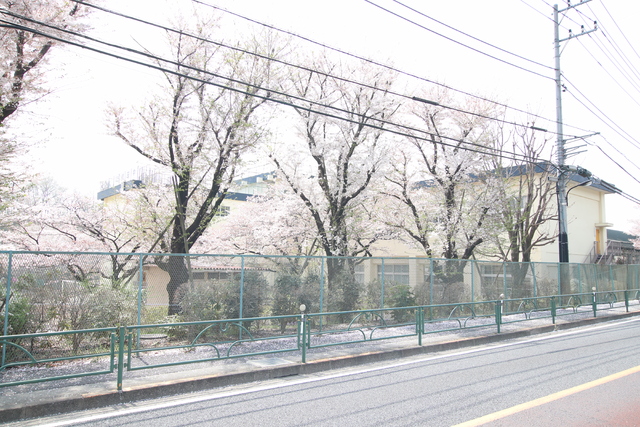 中学校　八王子市立椚田中学校（中学校）まで600m