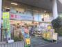 ドラックストア　ココカラファイン桜新町店（ドラッグストア）まで381m