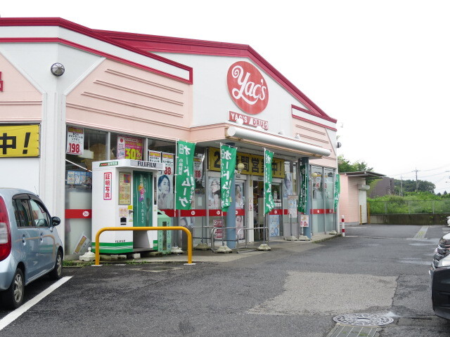 ドラックストア　ヤックスドラッグ成田店（ドラッグストア）まで1200m