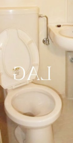トイレ　トイレです。