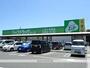 スーパー　ジップドラッグシーズ浜北店（スーパー）まで278m