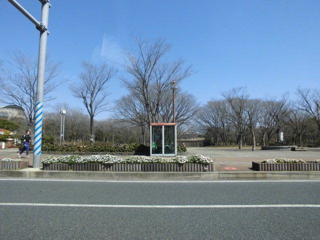 公園　茅ケ崎市 中央公園（公園）まで1033m