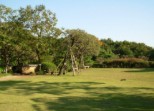 公園　等々力渓谷公園（公園）まで707m