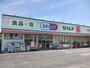 ドラックストア　ドラッグセイムス嵐山店（ドラッグストア）まで350m