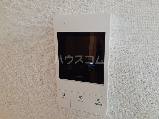 サイネリアのその他写真