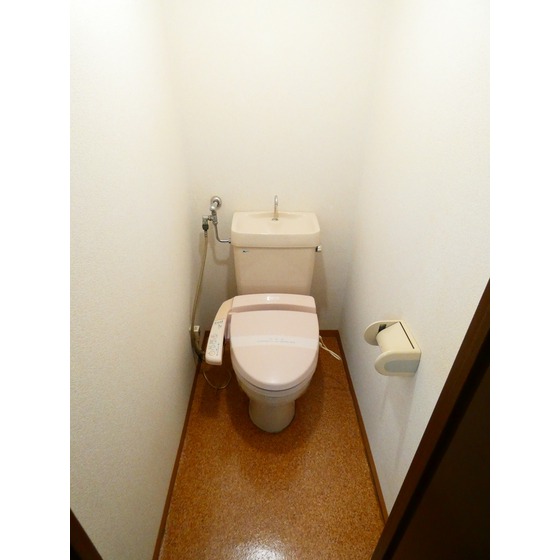 【ハイム桔梗IIのトイレ】