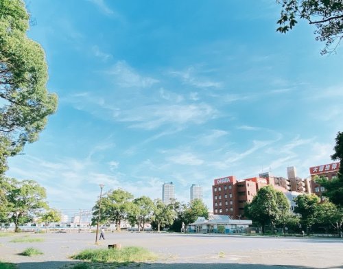 【横浜市神奈川区広台太田町のマンションの公園】