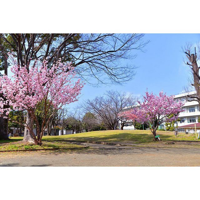 公園　南鴨宮富士見公園（公園）まで480m