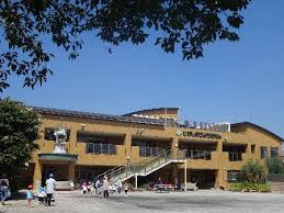 幼稚園・保育園　ひがしすげ幼稚園（幼稚園・保育園）まで616m