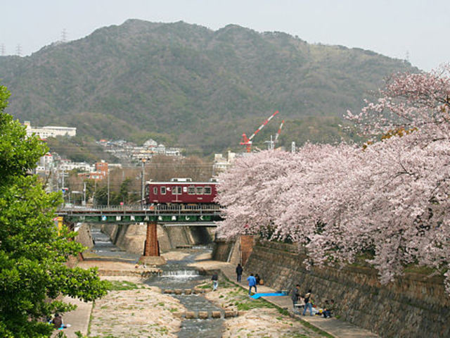 公園　都賀川公園（公園）まで582m