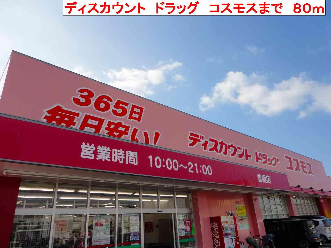 その他　コスモスまで80m