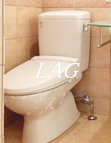 トイレ　トイレです。