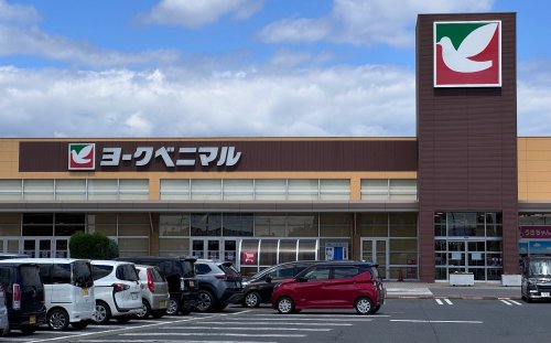 ショッピングセンター　ヨークベニマル赤塚店（ショッピングセンター）まで921m