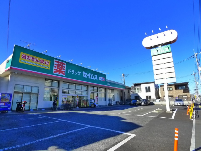 ドラックストア　ドラックセイムス（ドラッグストア）まで290m