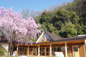 幼稚園・保育園　聖光幼稚園（幼稚園・保育園）まで1502m