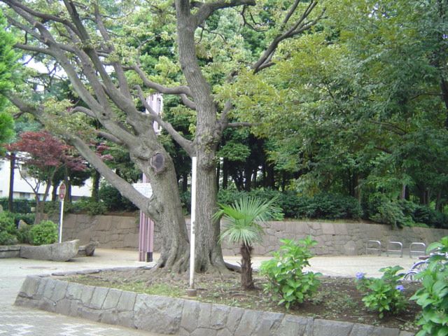 【サニネス阿佐ヶ谷Ｂの公園】