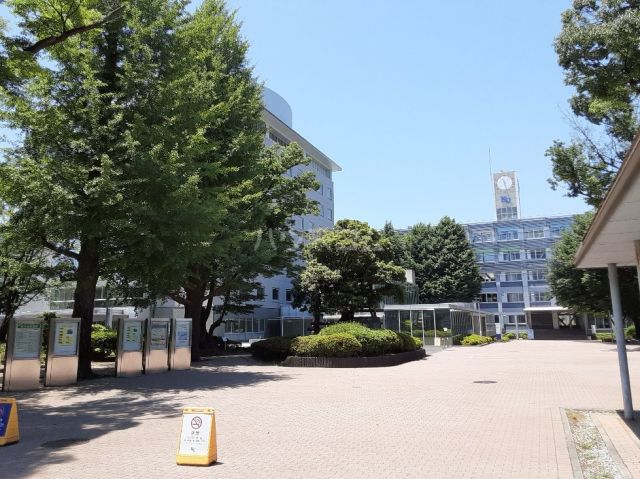 【ハーミットクラブハウス三ツ沢下町B号棟（仮）の大学・短大】