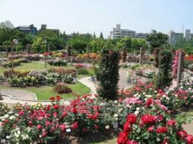 【茨木市水尾のアパートの公園】