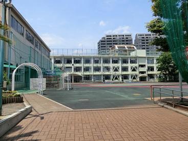 小学校　新宿区立柏木小学校（小学校）まで409m
