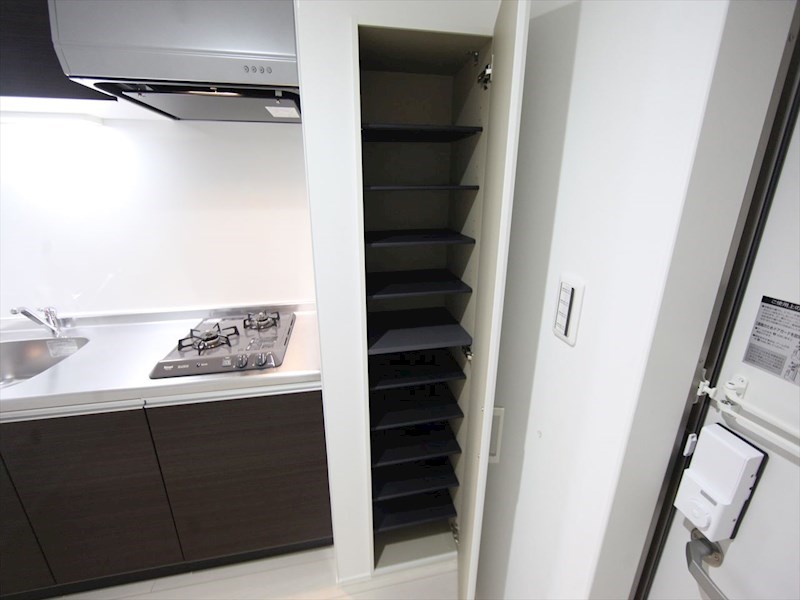 玄関　玄関　シューズボックス付　同仕様写真