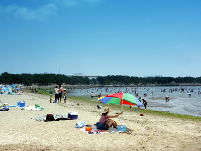 公園　海の公園（公園）まで618m