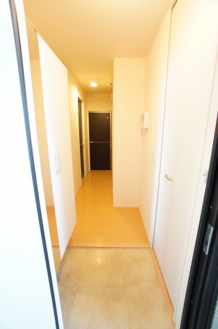 玄関　※同物件・反転タイプの写真です。