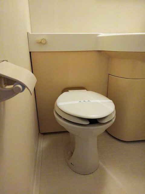 トイレ　同物件、別号室の写真