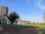 公園　みなとのもり公園（公園）まで1315m