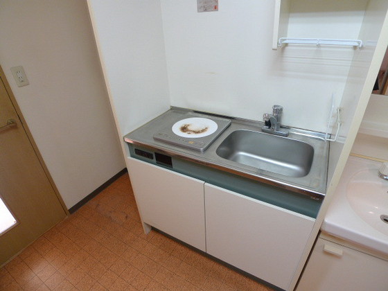 キッチン　他号室のお写真です