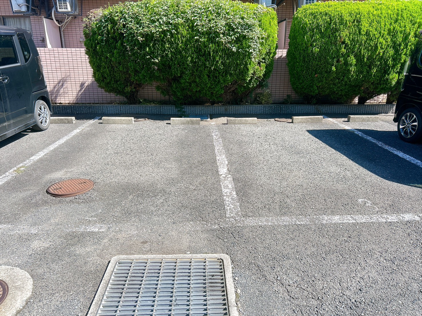 南海本線 泉大津駅 徒歩11分 2階建 築32年のその他写真