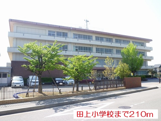 アクティブ・リーフIIの小学校