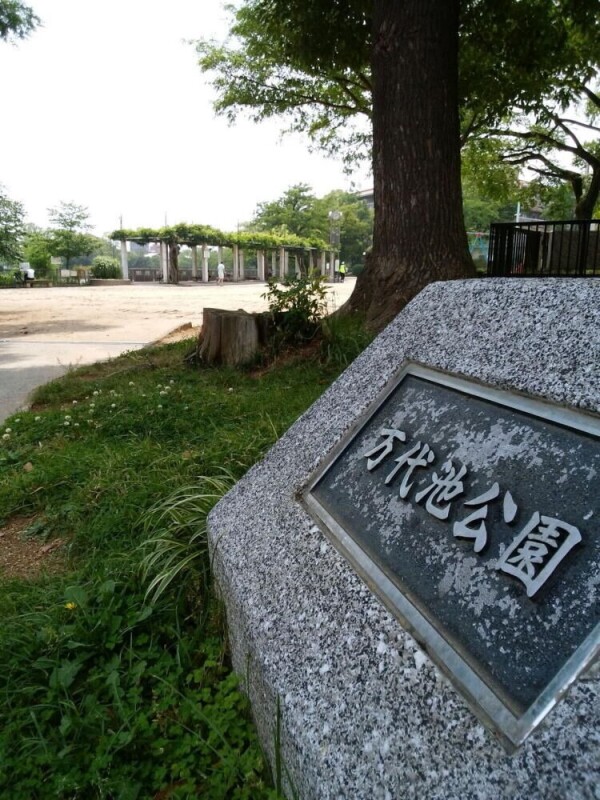 【ジューンベリーガーデン北畠の公園】