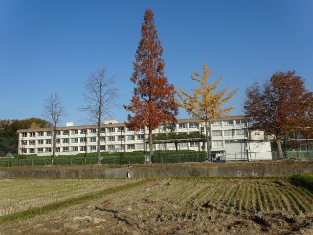 【ｓｔａｔｅｓ三進の小学校】